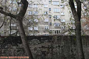 IMG_ (10442)